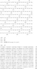 Figure IDA0000079231860001601