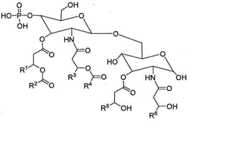 Figure 112022001260782-pct00090