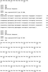 Figure imgb0075