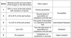 Figure imgf000048_0001