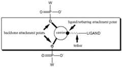 Figure imgf000030_0001