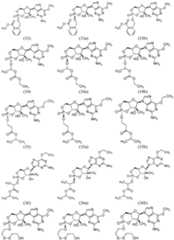 Figure imgf000060_0001