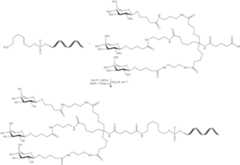 Figure US11596646-20230307-C00304