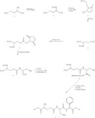 Figure US07029695-20060418-C00003