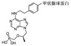 Figure 24003DEST_PATH_IMAGE010