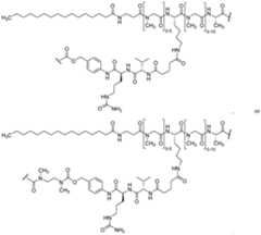 Figure imgf000242_0001