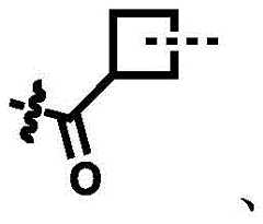 Figure BDA00029640981000000833