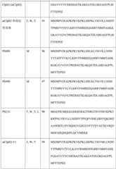 Figure BDA0004113681710000481