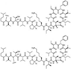 Figure imgf000051_0002