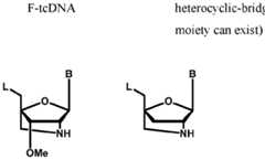 Figure imgf000019_0006