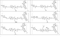 Figure PCTCN2022073822-appb-100133