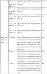 Figure BDA0004078918960001321