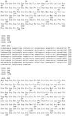 Figure IDA00002091897103901