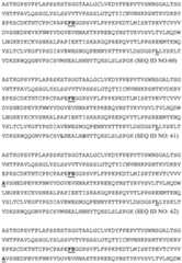 Figure BDA0002328692870000851