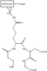 Figure US06217869-20010417-C00012