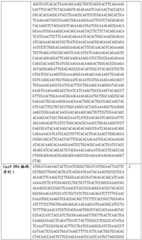 Figure BDA0002508391090000811