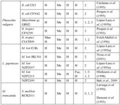 Figure imgf000140_0001