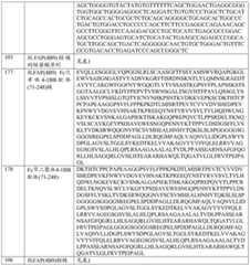 Figure BDA0001868160740001531