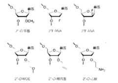 Figure 109145408-A0305-12-0031-3