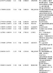 Figure BPA00001280678301331