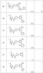 Figure BDA0001316473010001761