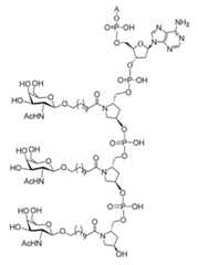 Figure 2023012548000254