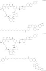 Figure US11364300-20220621-C00433