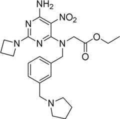 Figure BDA0000075082050001301