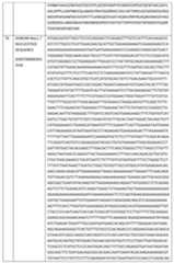 Figure imgf000349_0001