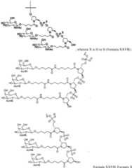 Figure imgf000112_0001