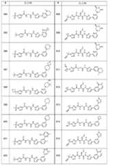 Figure 0007665518000100