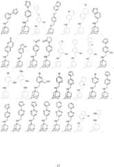 Figure imgf000024_0001