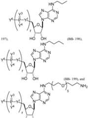 Figure imgf000083_0001