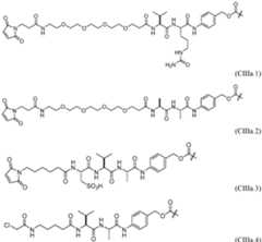 Figure imgf000198_0001