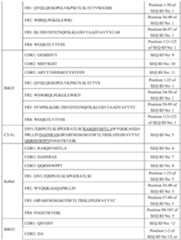 Figure PCTCN2020117268-appb-000004