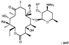 Figure imgf000019_0001