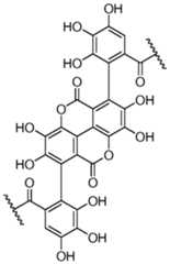 Figure imgf000013_0002