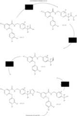 Figure US07250518-20070731-C00163