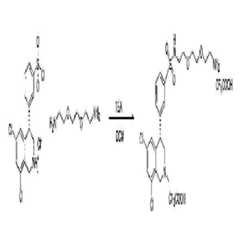 Figure 112011059052603-pct00381