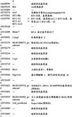 Figure BDA0000057170160001791