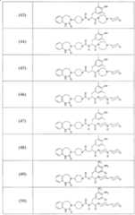 Figure A2006800095860016C1