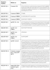 Figure imgf000034_0001