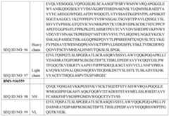 Figure imgf000042_0001