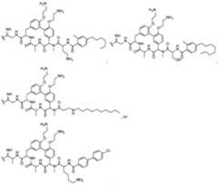 Figure imgf000096_0001