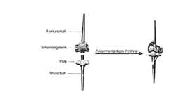 Figure imgf000008_0001