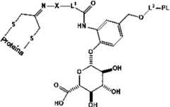 Figure imgf000007_0001