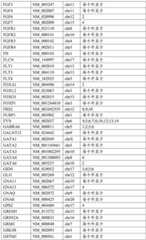 Figure BDA0002159872460000071