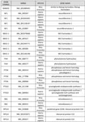 Figure imgf000075_0001