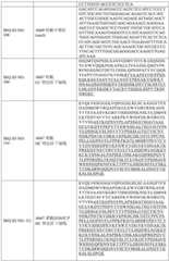 Figure BDA0003429348370000811