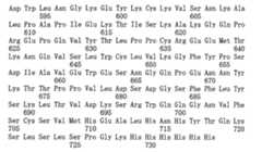 Figure 108144714-A0101-12-0171-259